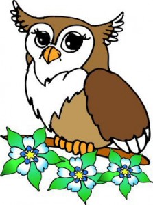 Denver Branch logo